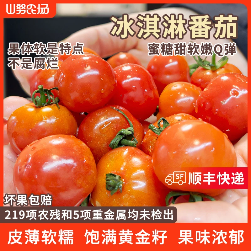 【顺丰快递】山努冰淇淋番茄水果西红柿皮薄软糯多汁新鲜生吃小柿子