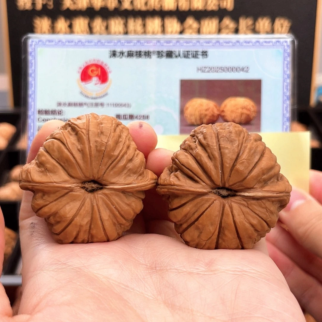 把件文玩核桃42尺黄金尺寸平底矮桩圆瓜红南瓜新果42S8