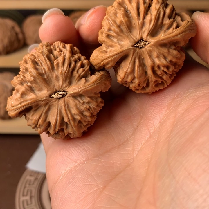 农***活大叶紫檀（黑酸枝木类）南疆6