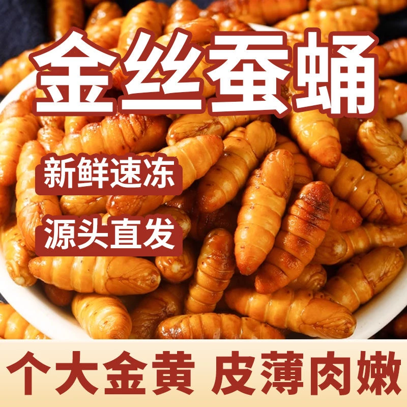 【顺丰包邮】新鲜速冻金丝蛹山东小黄蛹茧蛹黄金蛹个大饱满生鲜蚕蛹