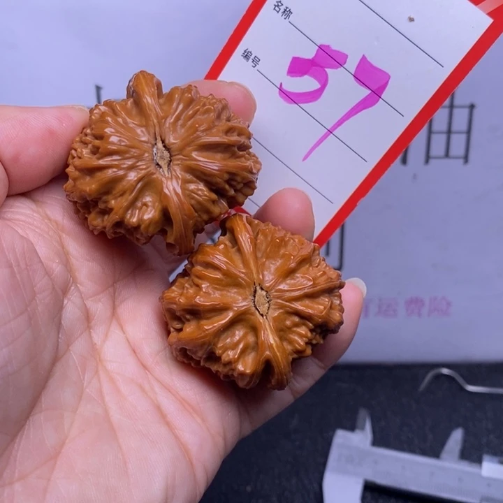 把件文玩核桃57，39白狮子