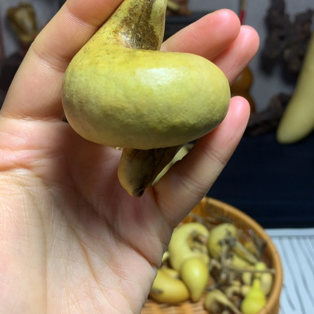 尊***嘟葫芦葫芦真的好可爱呀哈