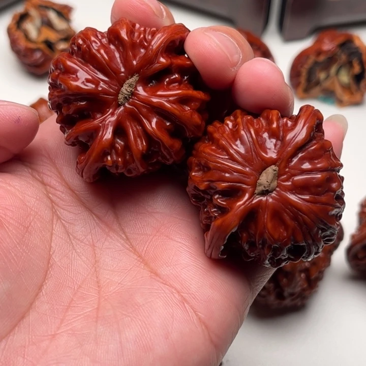 黑***黑45尺 白狮子。全品