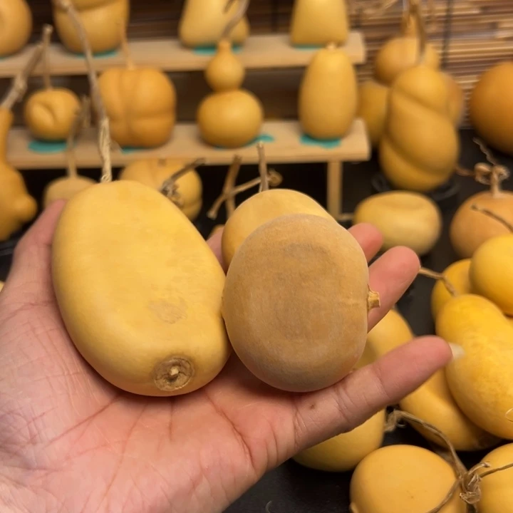 .****关2366333333366669