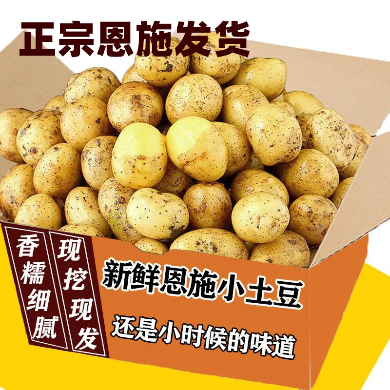 【恩施小土豆直发】新鲜正宗乒乓迷你硬币农家洋芋马铃薯蔬菜