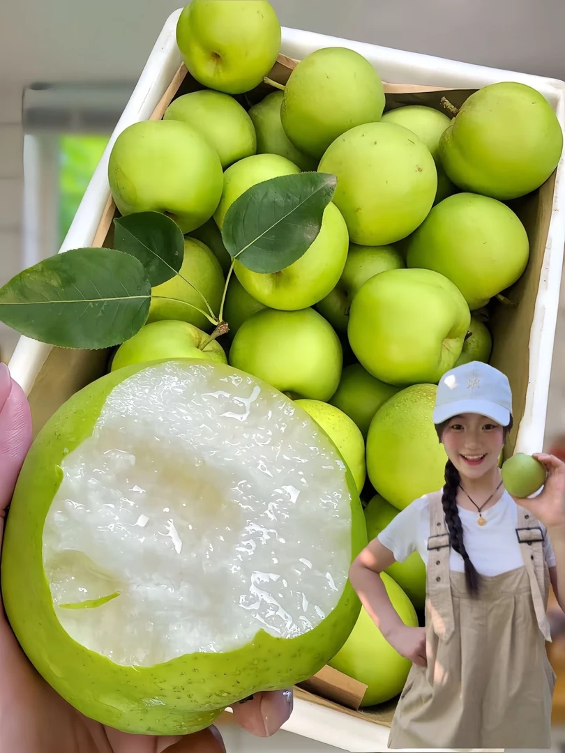 新鲜现摘砀山青皮皇冠梨翠冠梨脆甜多汁