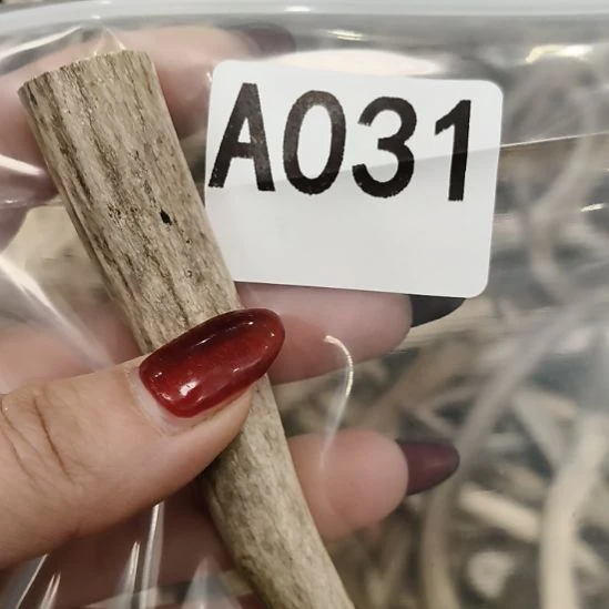禁***区鹿角鹿角鹿角鹿角鹿角