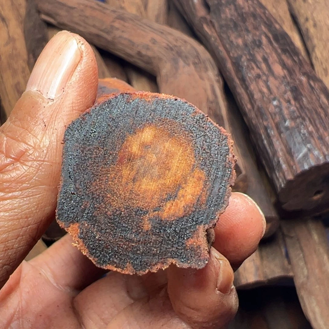 降真香其他多**彩原料直发