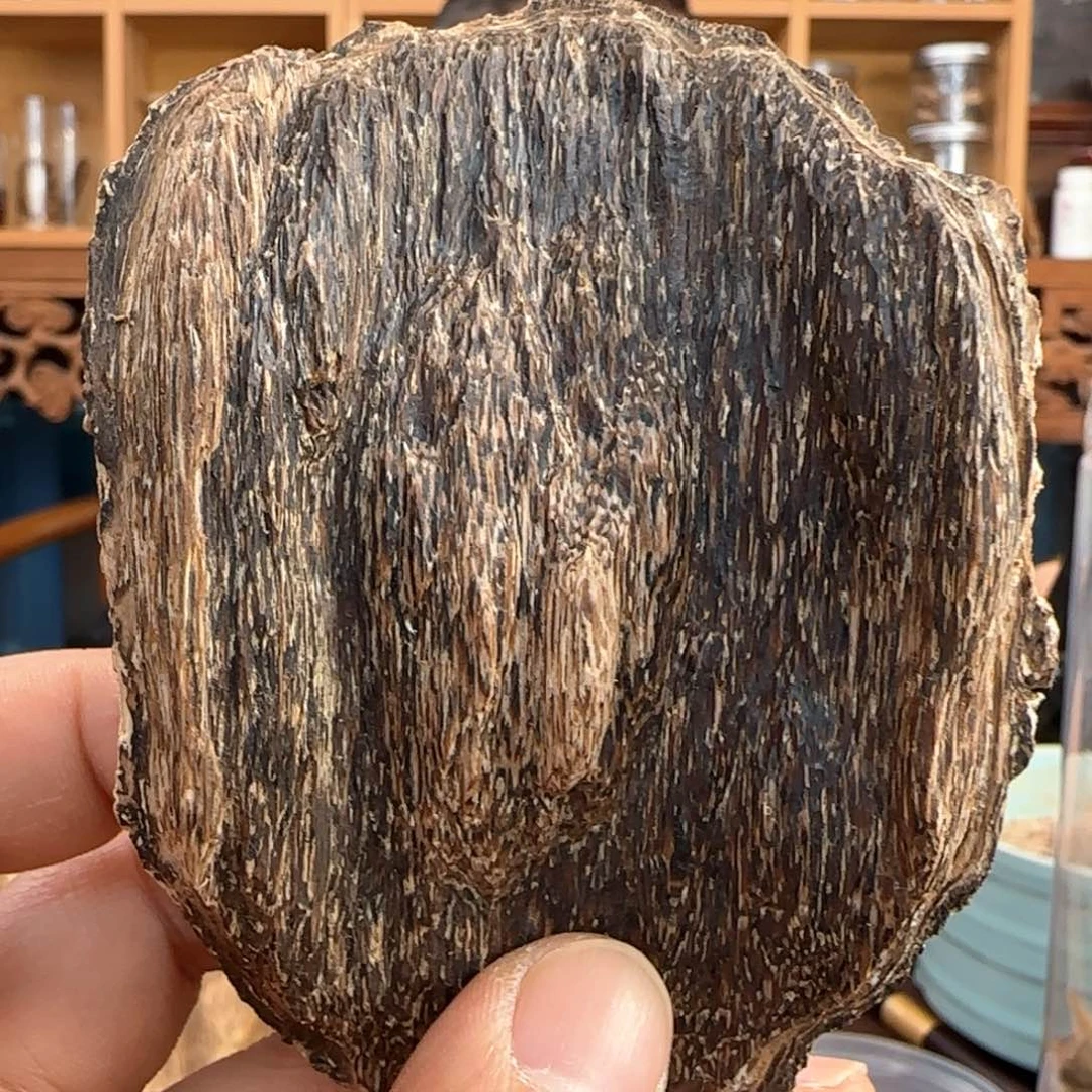 沉香摆件香港沉香虎斑料21克