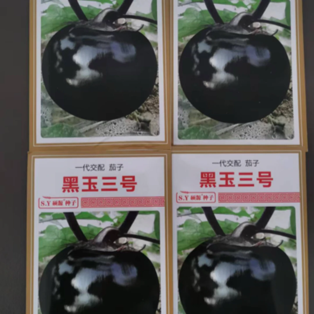 大棚陆地黑亮大圆茄子喷施