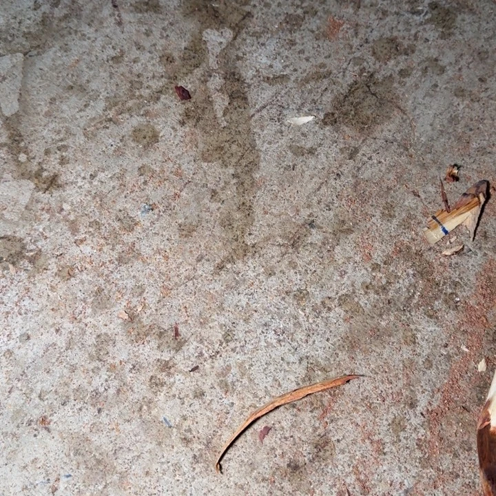 用***7木海南，海北飞灰尘。甘受商于仪诳楚