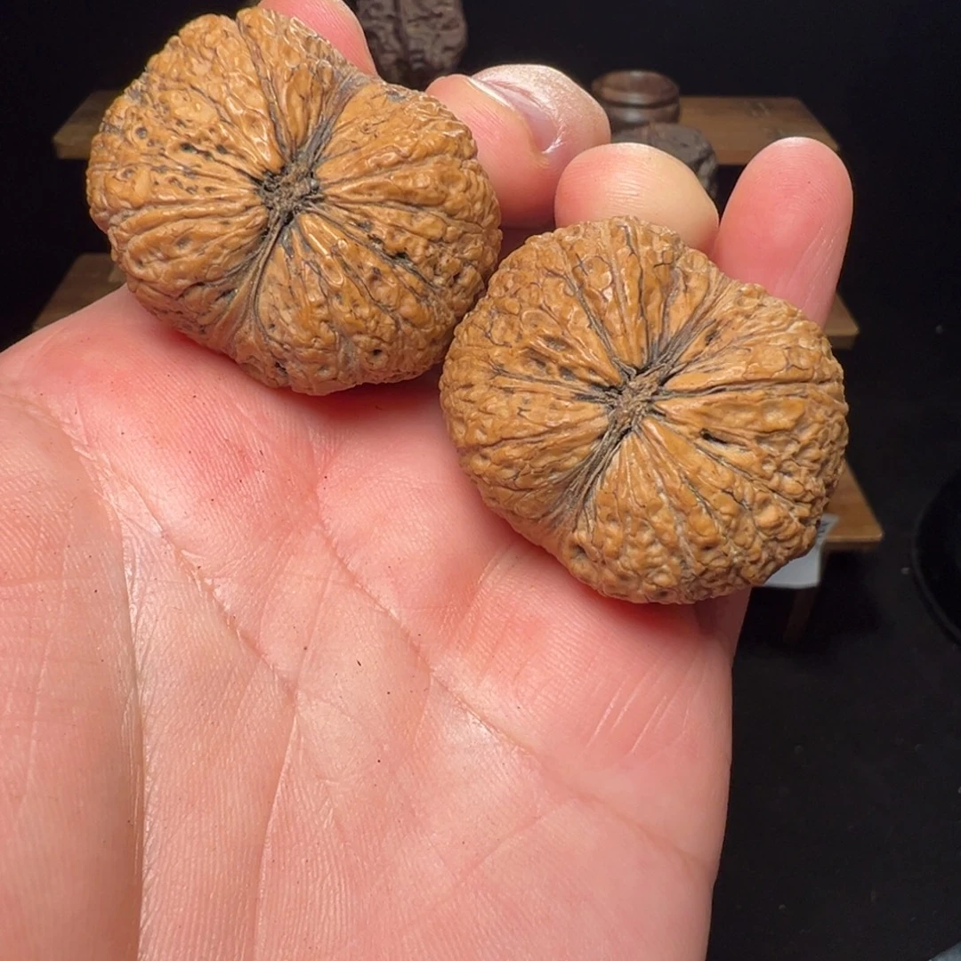 吊坠文玩核桃金毛狮王37mm