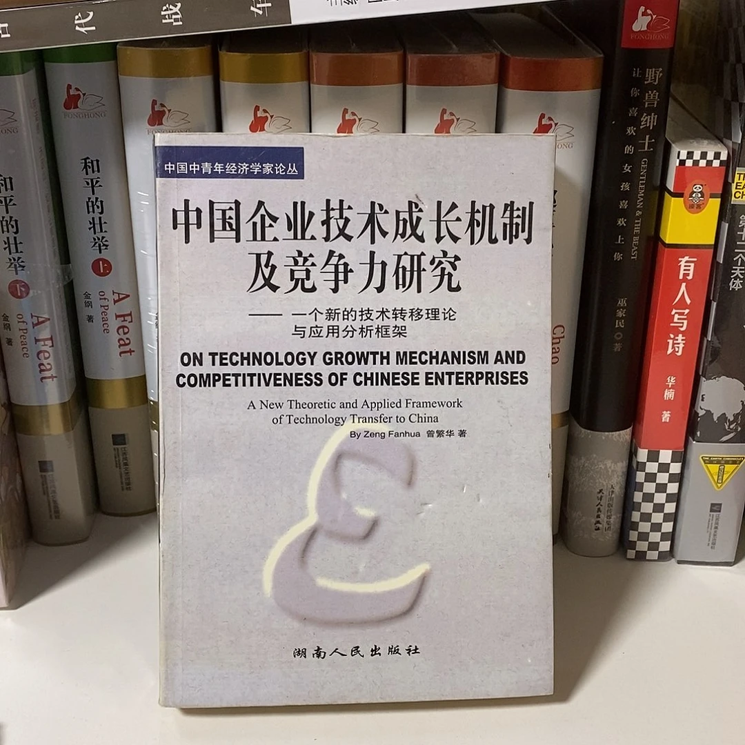 瑕疵 中国企业技术…………