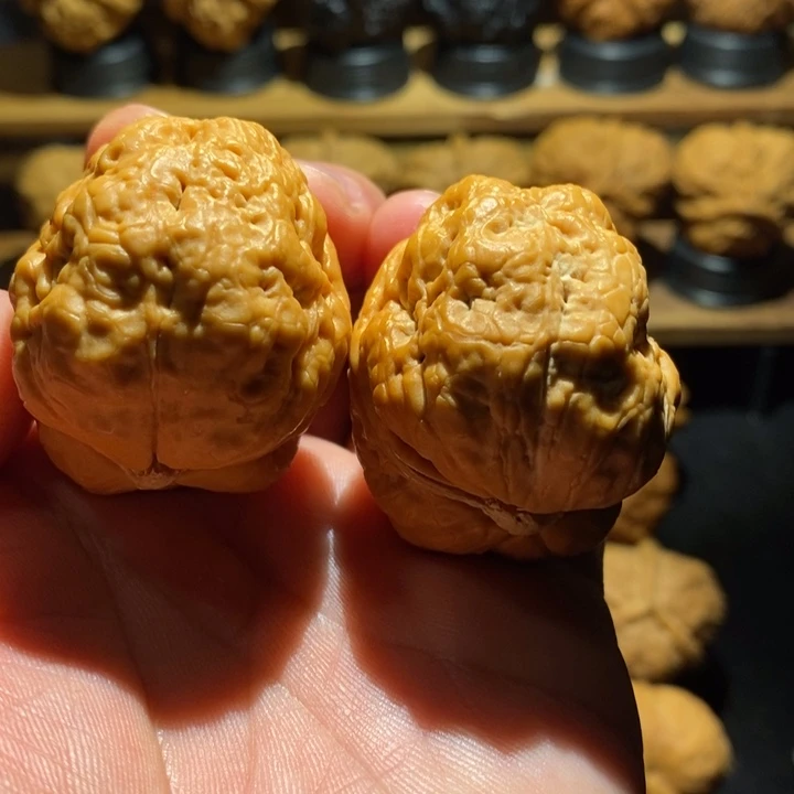 吊坠桃核平头蟾尺寸40