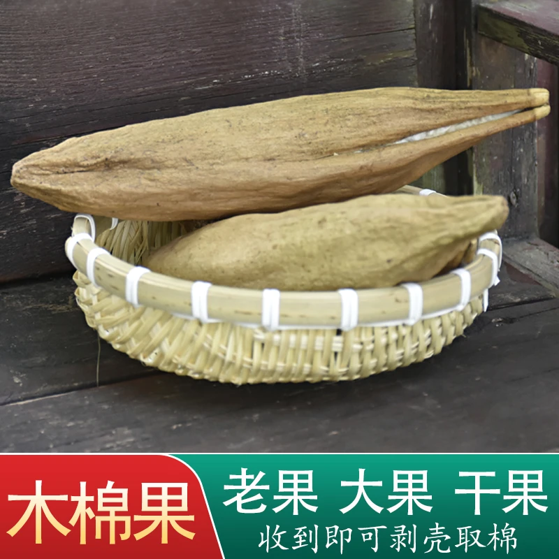 天然木棉果攀枝花果枕芯填充料有子木棉花有籽红棉枕头填充物含壳