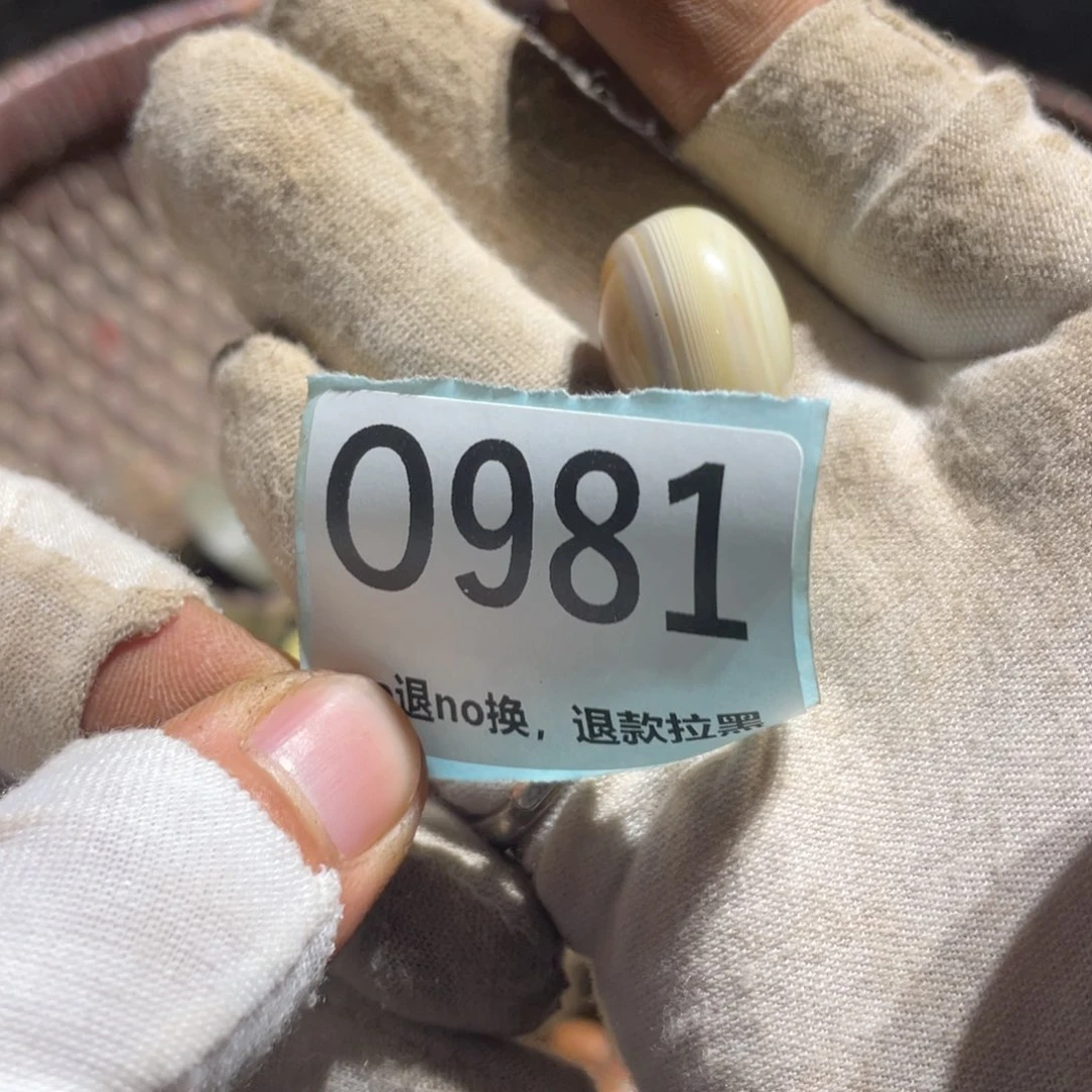 冯***程瓷片表弟链接火爆热卖热卖