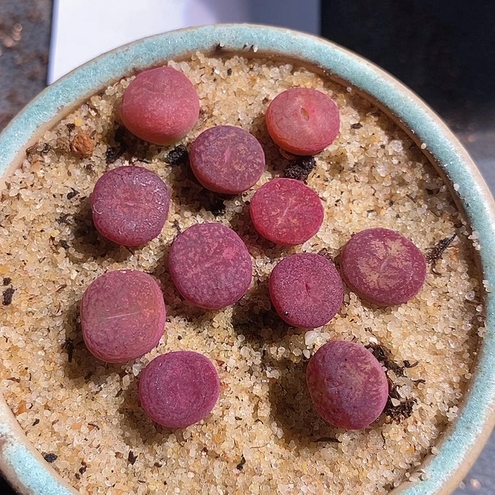 10337。 黑洞杂一颗。