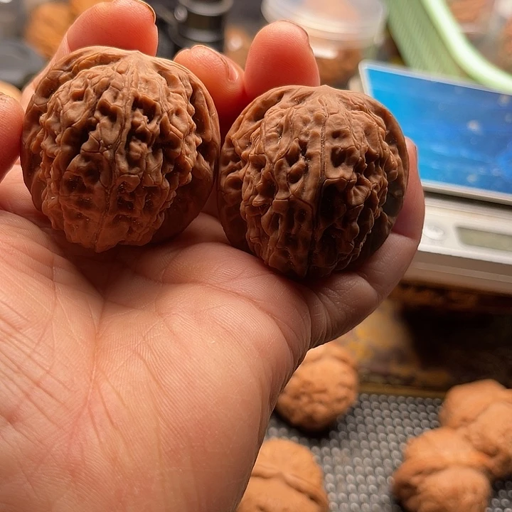 把件桃核莲花边41肚42