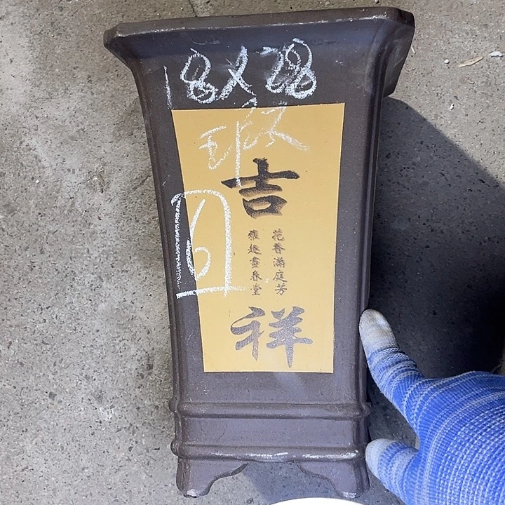 红陶紫砂紫砂紫砂