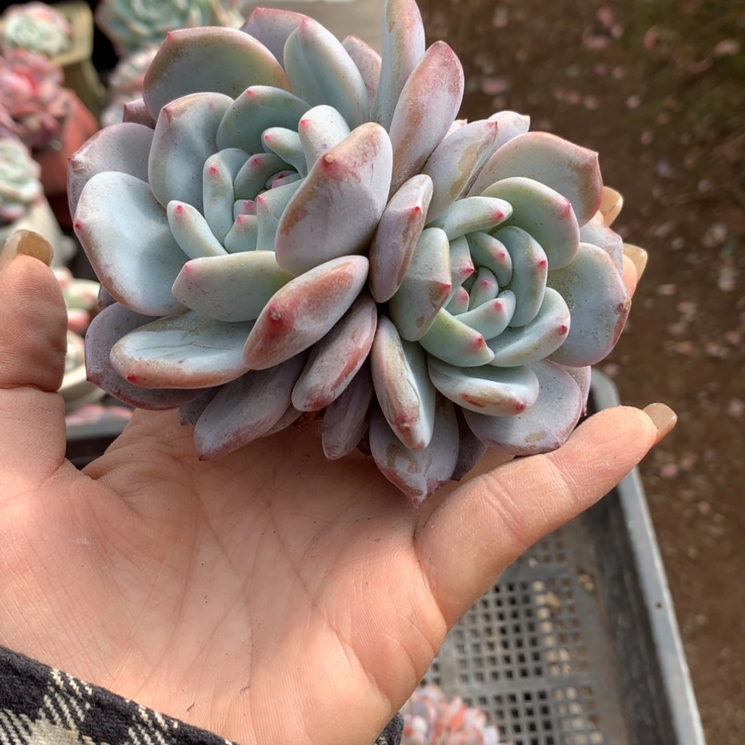 哈哈哈哈哈哈哈哈哈哈