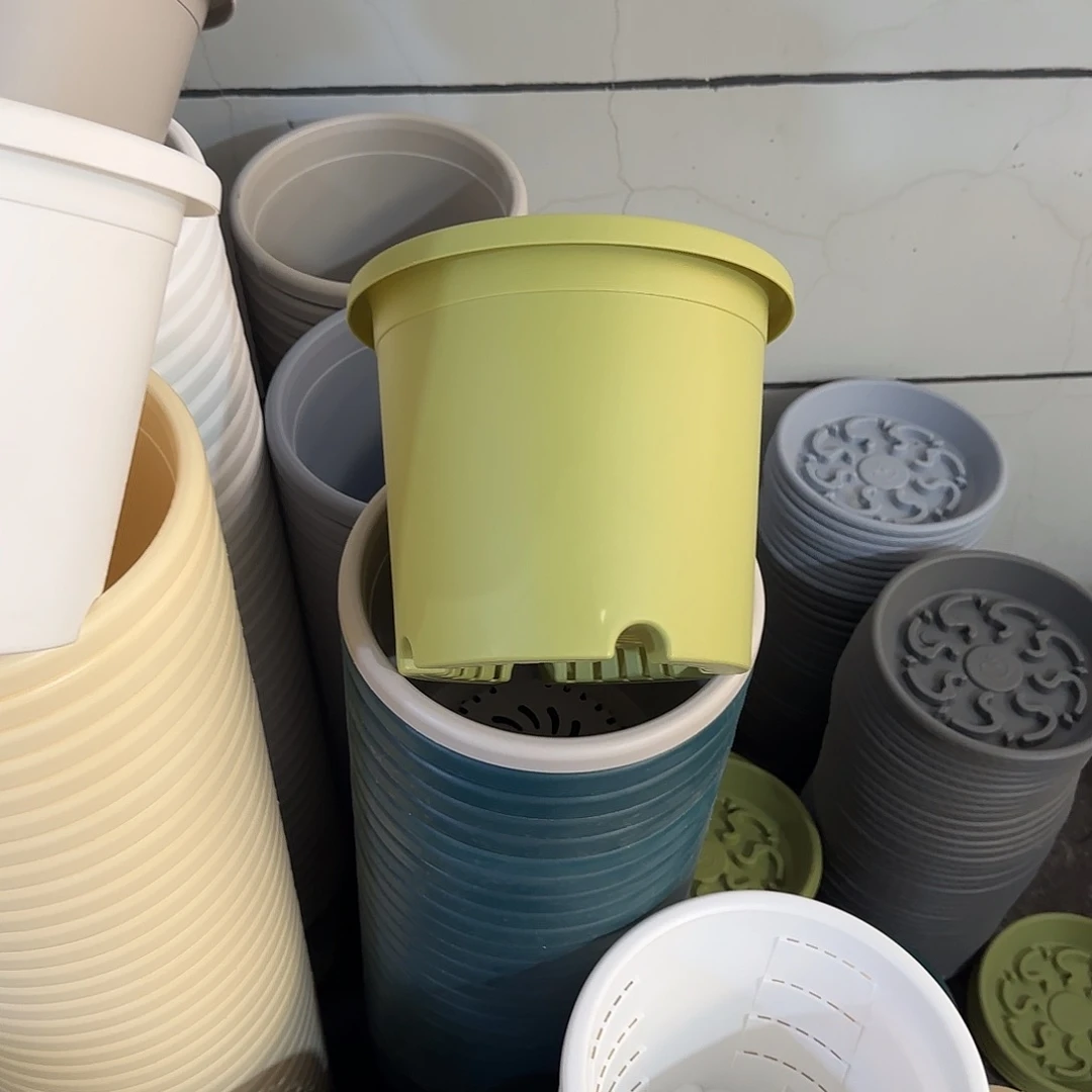 微瑕4号3个无托，果绿