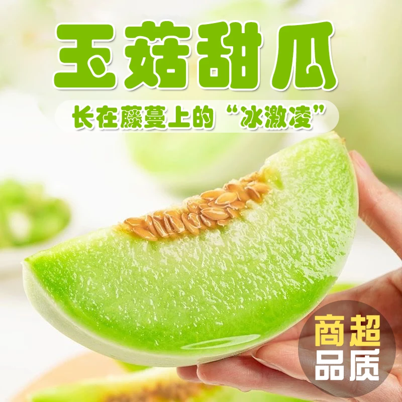 玉菇甜瓜软糯香甜新鲜发货(带勺子)