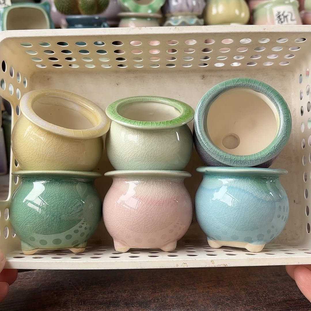 量货/5口高6深浅搭配发6