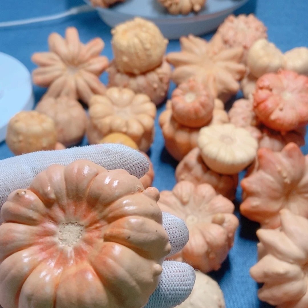 F***y葫芦墨西哥七彩疙瘩葫芦
