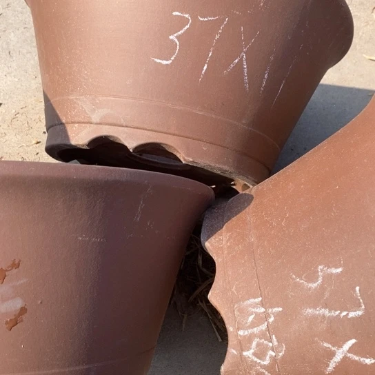 紫砂花盆100-3微瑕37-17