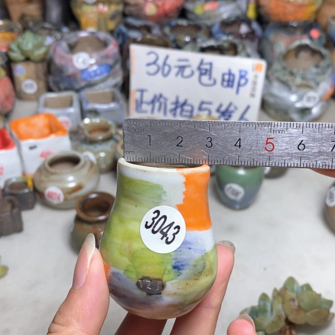 拍5送一个小礼物