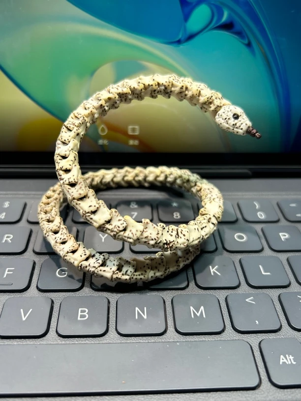 星月菩提雕刻配饰海南料原生态长款蛇骨手串 配饰 本命年吉祥物