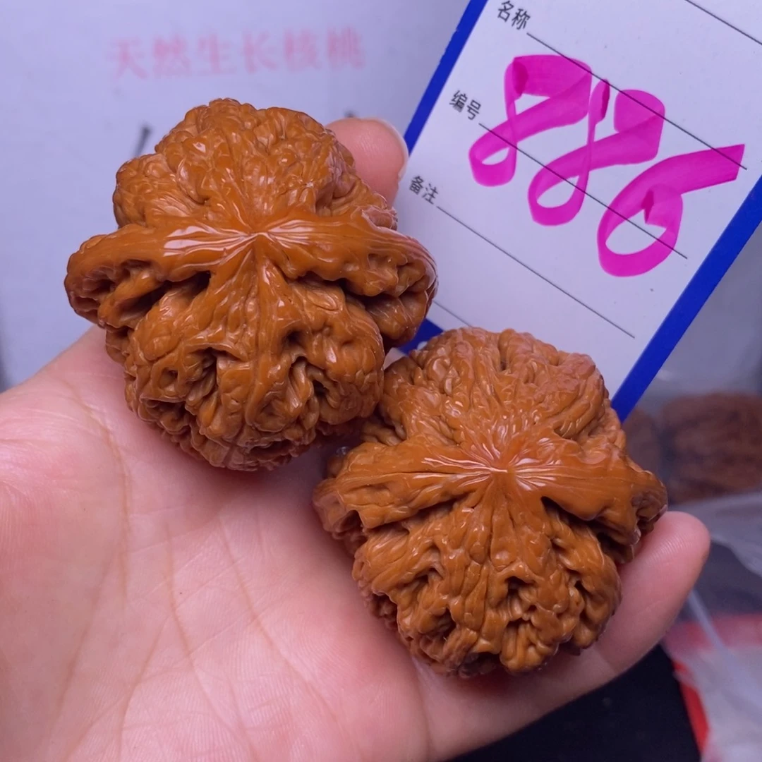 文玩核桃把件886/47粗筋