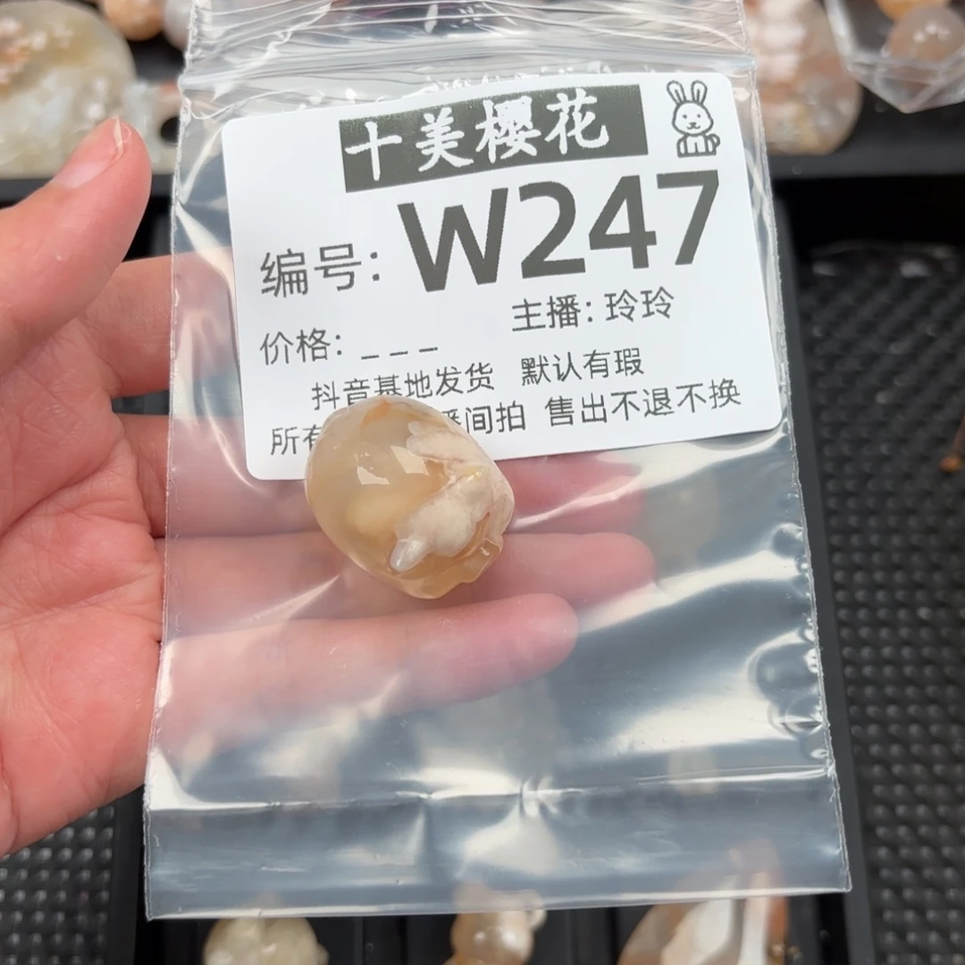 玛瑙/玉髓颈饰未镶嵌橙****弟