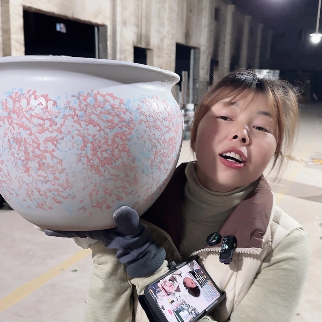 王嫂花盆1204-224高25口30