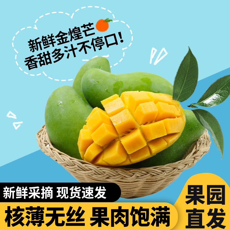 【百色芒果】青皮金煌芒果当季新鲜水果现摘大青芒爆汁脆甜