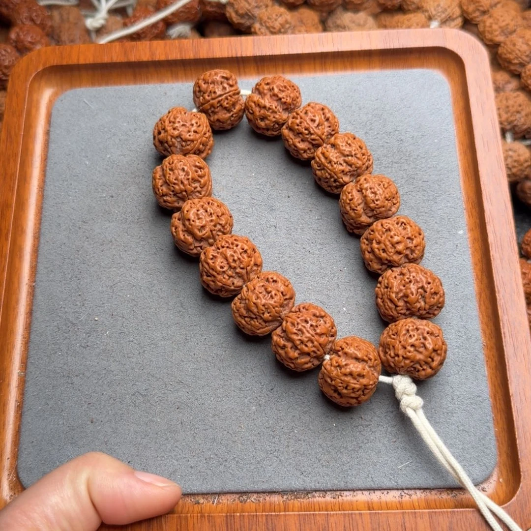 菩提菩提18号尼泊尔大金刚22满肉蜂窝