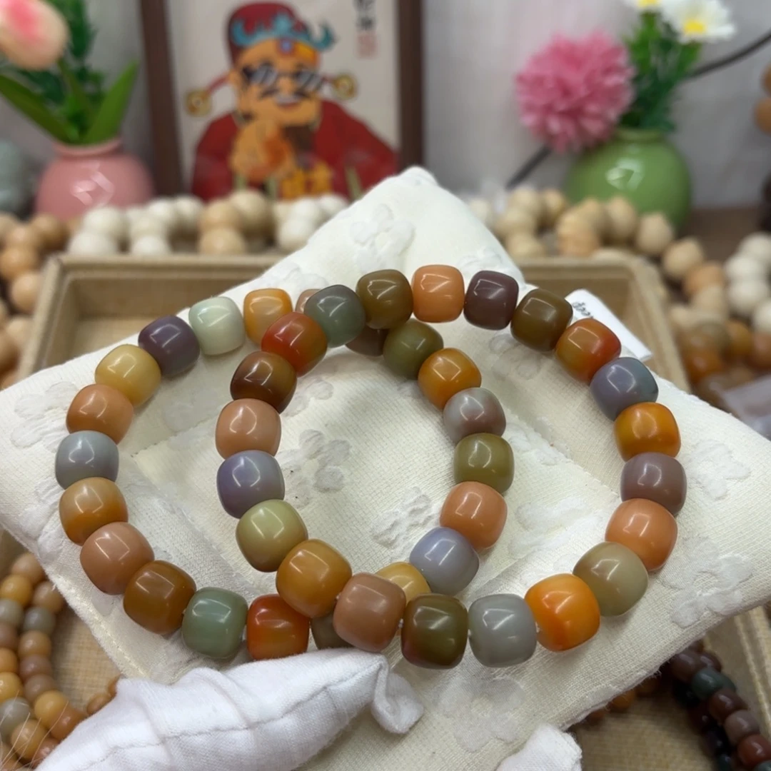 吊坠菩提根/象牙果13干磨星辰大海桶