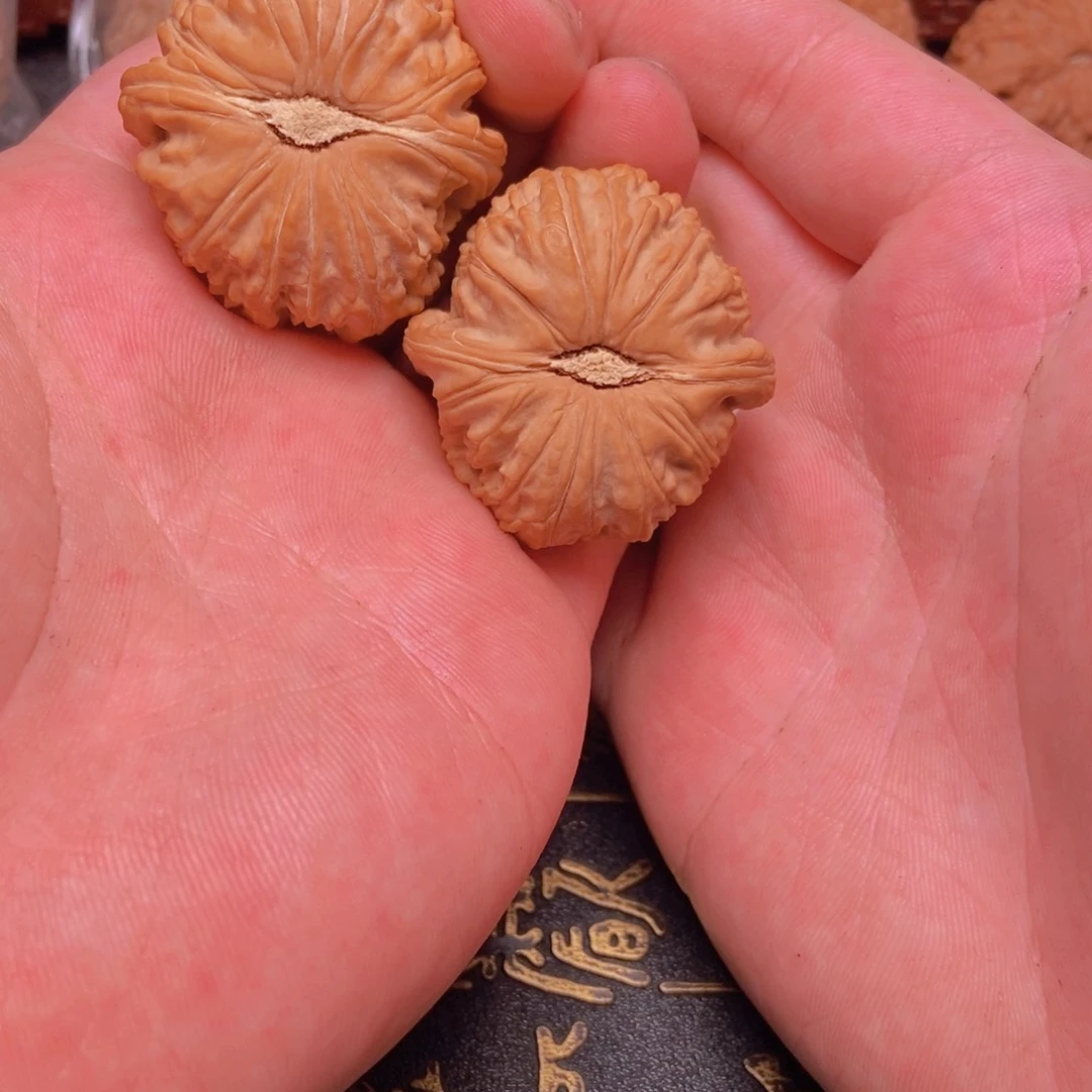 文玩核桃把件白狮子