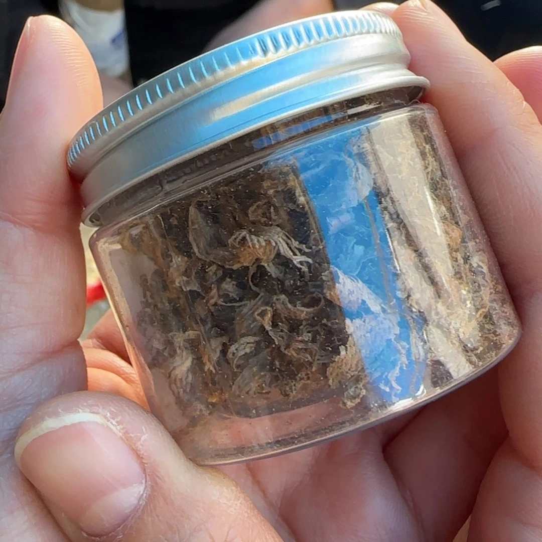 沉香沉香木制品海南黄油格刮丝2克一份多样性发一份