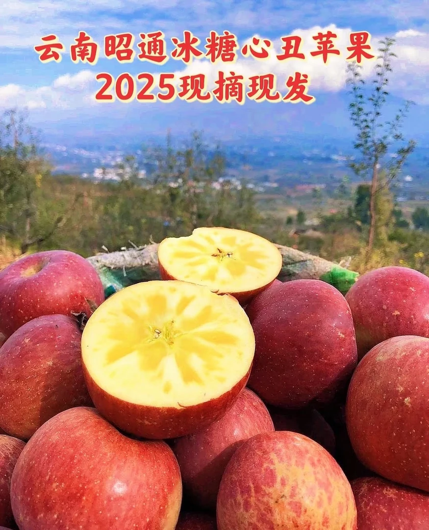 2025年头茬昭通红富士冰糖心丑苹果现摘现发脆甜多汁新鲜水果