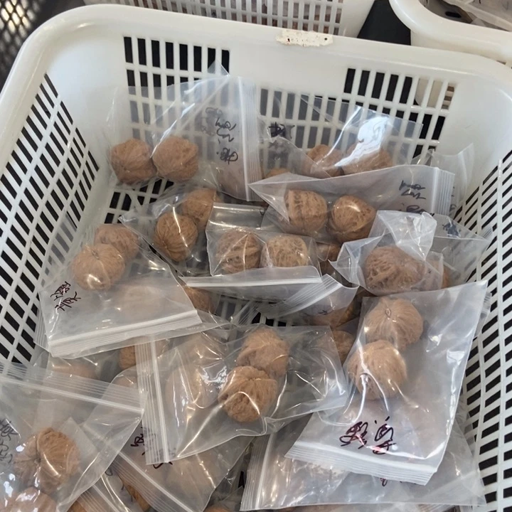 吊坠文玩核桃黄金锤