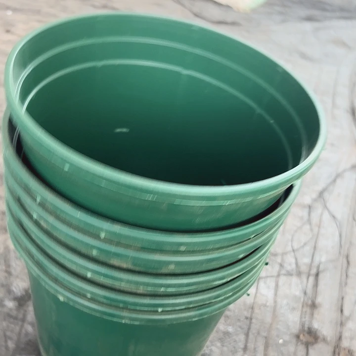 2加仑绿色圆盆6个
