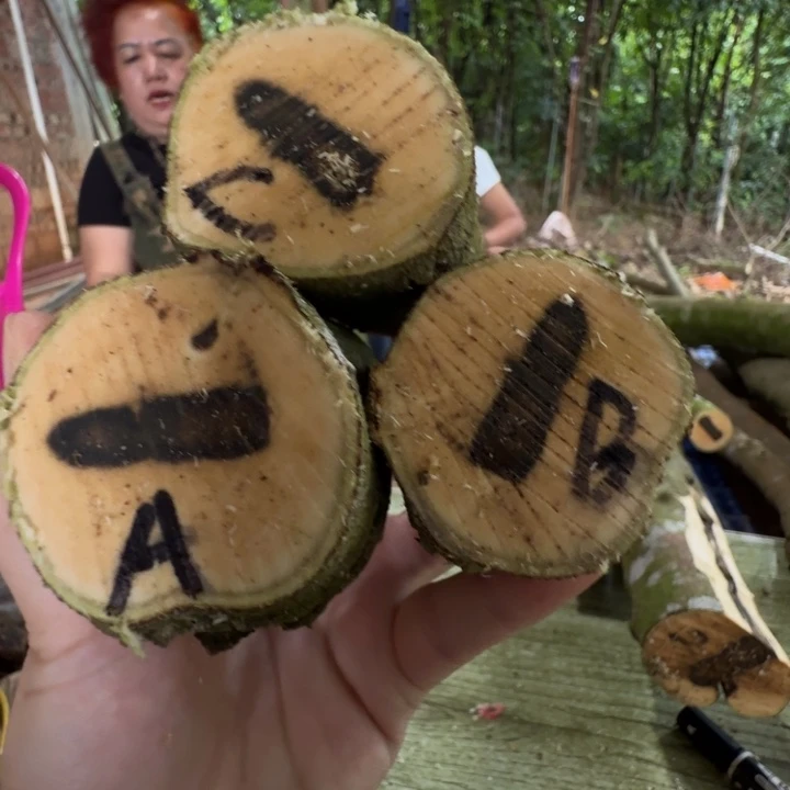 线香奇楠沉香原木