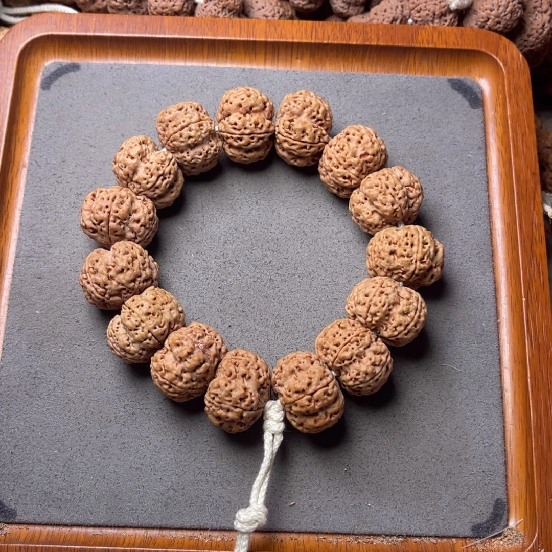 菩提籽类27号金刚菩提矮壮梅花24