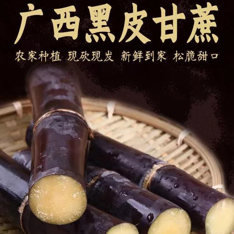正宗广西黑皮甘蔗脆甜多汁爽新鲜口时令当季整箱包邮水果甘蔗