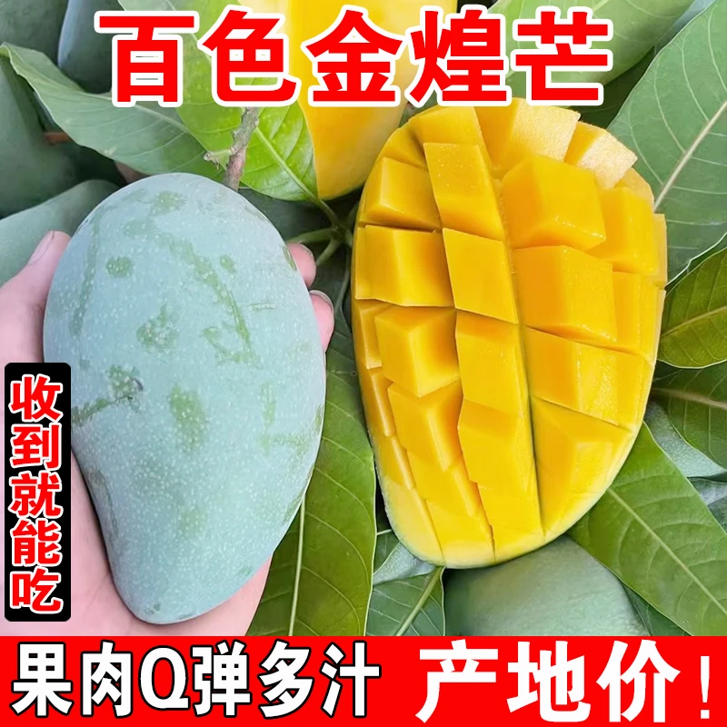 正宗百色金煌芒新鲜热带水果甜心芒生熟两吃青皮芒果产地直发10斤
