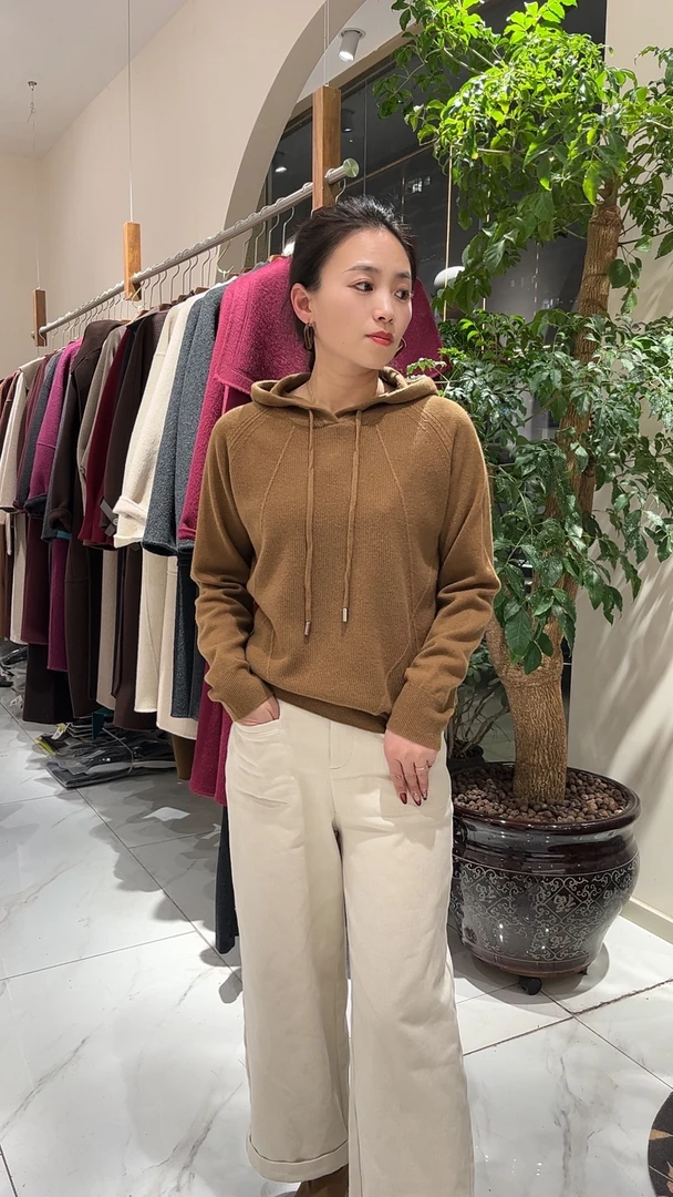 冬季新款连帽休闲百搭羊毛衫