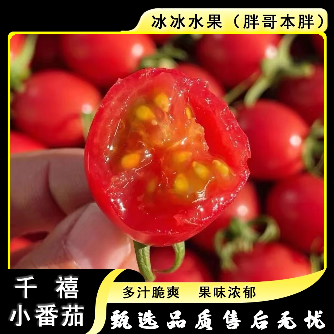 【散装】[N]千禧小番茄 份/净重2斤左右 仅太原晋中吕梁忻州可拍