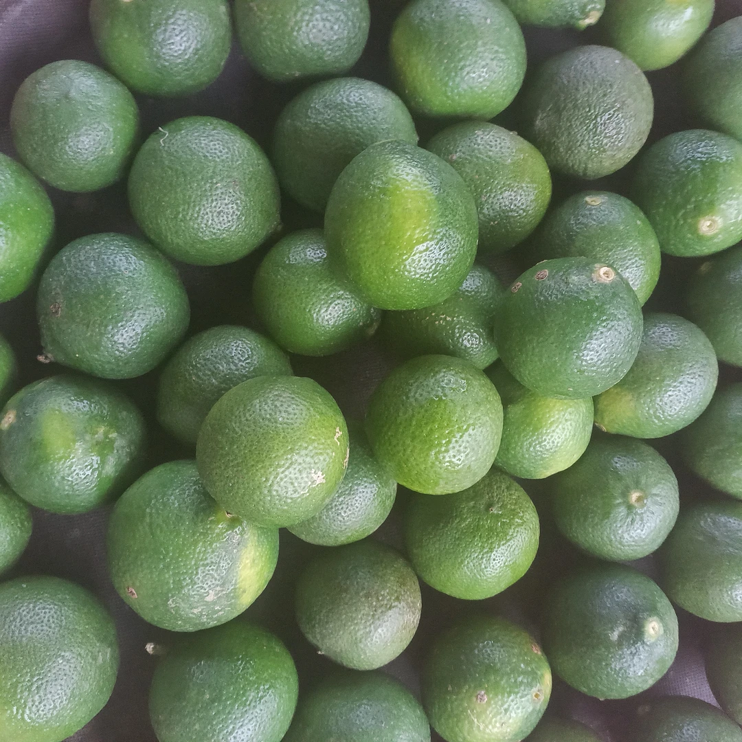 中缅佤乡特产好货【柠檬】佤乡特产