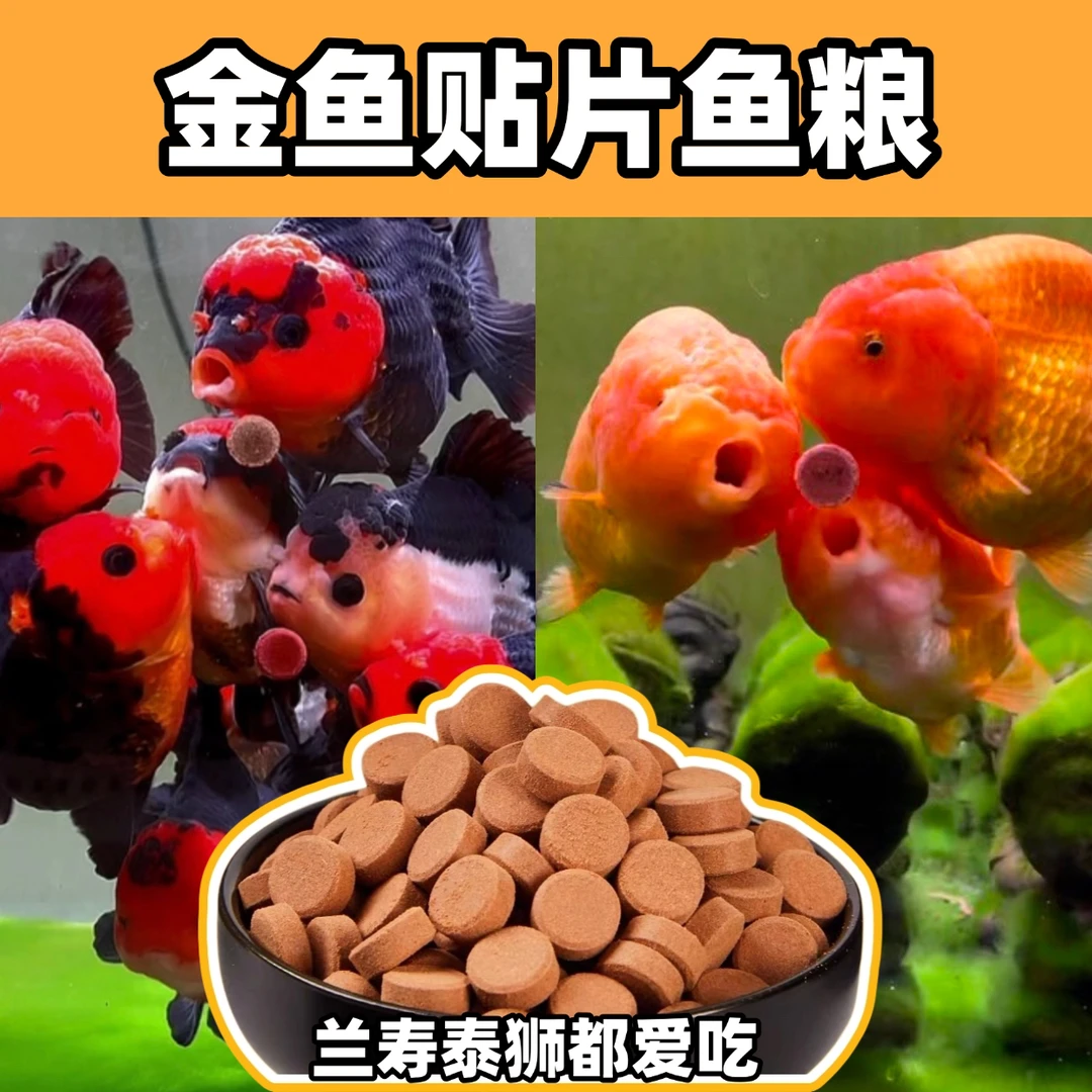 贴片饲料金鱼贴片小型鱼饲料孔雀鱼鱼斗鱼金鱼热带鱼通用贴片鱼粮